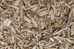 biomass boilers Carnbo